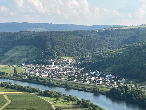 an aerial view of a town next to a river at Ferienwohnung "Moseltraum" Ensch in Ensch