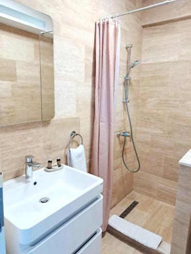 a bathroom with a sink and a shower at Apartamente Vista Lago e Mare in Eforie Nord