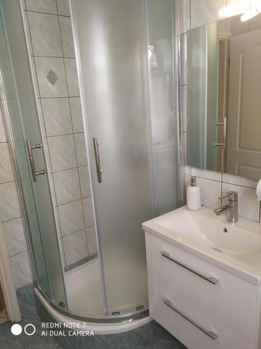uma casa de banho com um chuveiro e um lavatório. em Apartman Iva - Vantačići em Vantačići