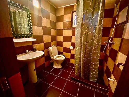 La salle de bains est pourvue de toilettes et d'un lavabo. dans l'établissement Casa Tomița, à 2 Mai