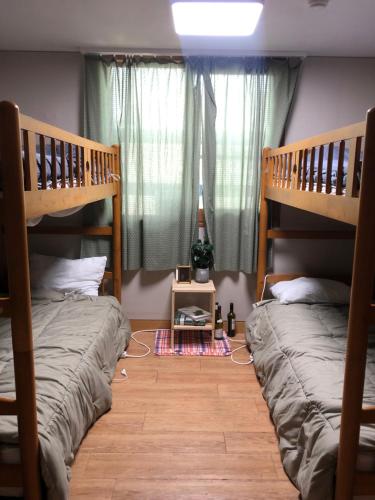 a bedroom with two bunk beds and a window at Linden Guesthouse in Jeju