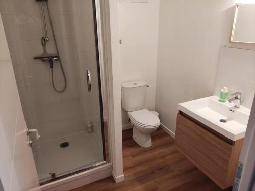 une salle de bain avec une douche, des toilettes et un lavabo dans l'établissement Le cœur Valericain 3, à Saint-Valery-sur-Somme
