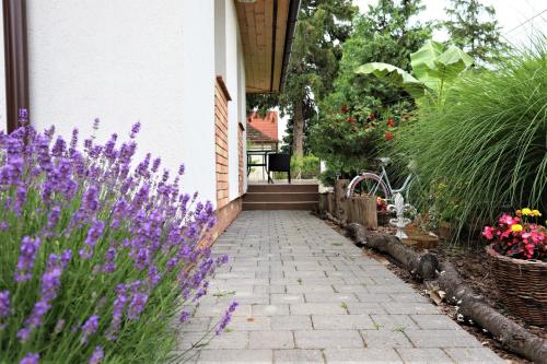 una pasarela en un jardín con flores y plantas púrpuras en Harmony Delux Apartman en Balatonboglár