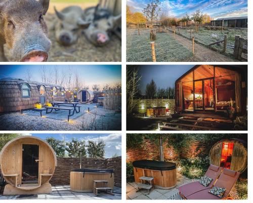 uma colagem de imagens de diferentes tipos de casas em Bed & Wellness Klein Knorrestein with 2 romantic sustainable tiny house, use private hottub, sauna, tandembike included in price, just 30 minutes from Amsterdam em Almere
