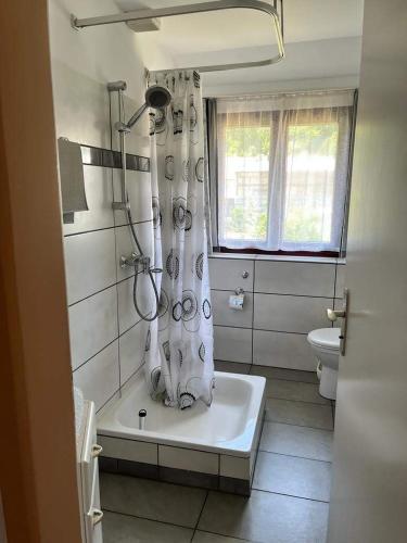 a bathroom with a shower and a bath tub at Felsenblick Himmelsfels in Geislingen an der Steige