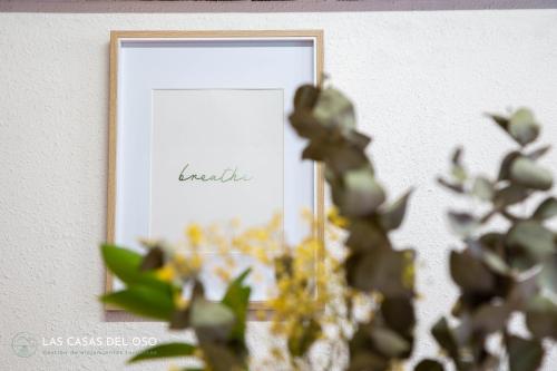uma moldura de imagem numa parede ao lado de uma planta em La Seronda de Villaorille - Las Casas del Oso 