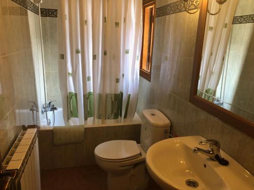 ein Badezimmer mit einem WC, einem Waschbecken und einem Spiegel in der Unterkunft apartamentos casa botero in Sarvisé
