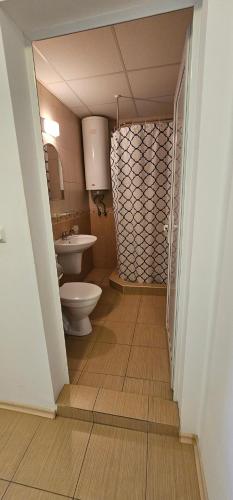 スヴェティ・ヴラスにあるSiana 3 Suitsのバスルーム(トイレ、洗面台付)