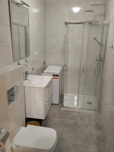 a bathroom with a shower and a toilet and a sink at Apartament Emilia in Busko-Zdrój