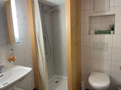 ein Bad mit einer Dusche, einem WC und einem Waschbecken in der Unterkunft Alpenchalet Spiher Gstaad Ferienwohnung im Parterre in Gstaad