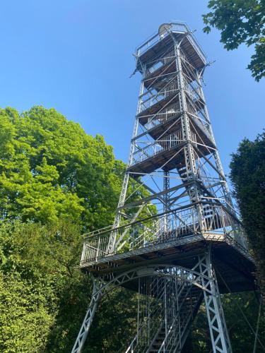 ein großer Metallturm inmitten von Bäumen in der Unterkunft L'Etoile in Lutterbach