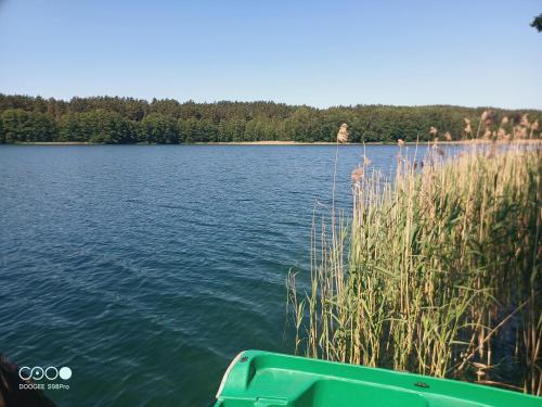 a green boat sitting on the side of a lake at Sosnowy Raj - domki na Mazurach in Maradki