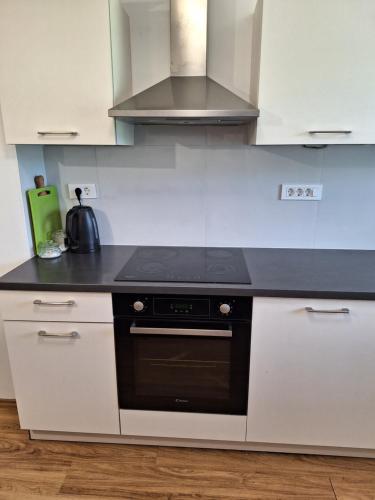 a kitchen with white cabinets and a black stove top oven at Guesthouse Flower in Ljubljana