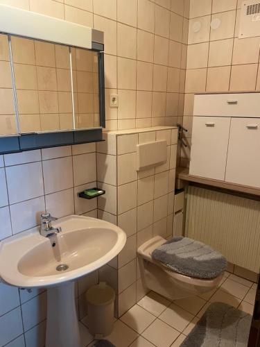 a bathroom with a sink and a toilet at Haus Berchtold in Hermagor