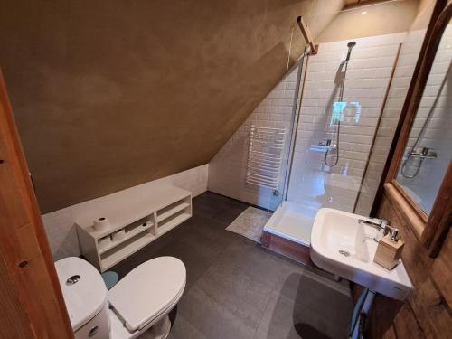 La salle de bains est pourvue de toilettes, d'un lavabo et d'une douche. dans l'établissement Lipie12a - pokoje, à Lipie