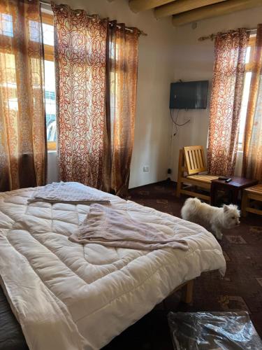a bedroom with a white dog standing next to a bed at Sky Land guest house in Leh