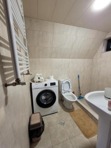 a bathroom with a washing machine and a toilet at Pine Chalet Kazbegi in Stepantsminda