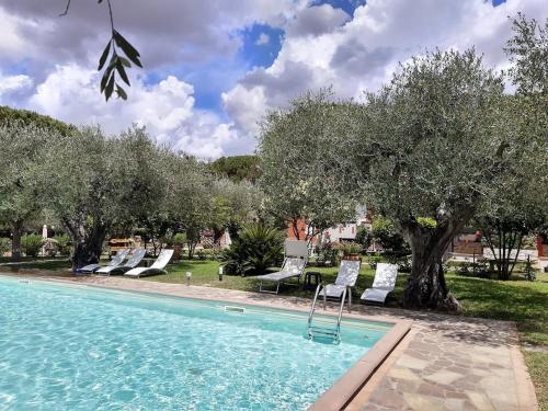 a swimming pool with a bunch of chairs and trees at Agriturismo Buen Camino in Scarlino