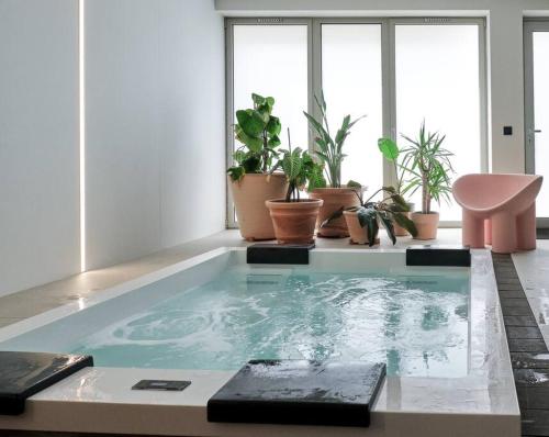 - une piscine avec des plantes en pot dans une chambre dans l'établissement Nonpareil SeaSide, à Paimpol