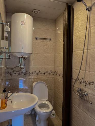 a bathroom with a toilet and a sink at Barbara's Eco-Cozy GuestHouse in Mestia
