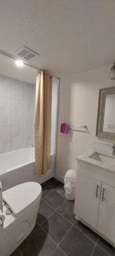 a bathroom with a toilet and a tub and a sink at Green Village in Calgary