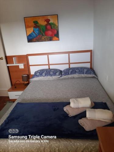 um quarto com uma cama com duas almofadas em Piso con preciosas vistas de vigo em Vigo