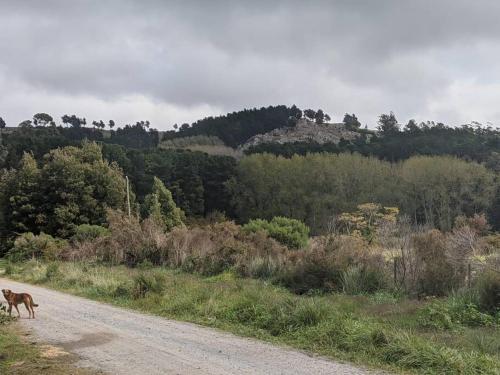 Φυσικό τοπίο κοντά σε αυτό το σαλέ