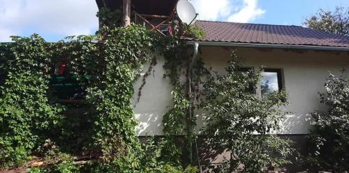 una casa con hiedra creciendo a su lado en OAZA, en Olsztyn