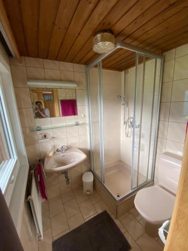 La salle de bains est pourvue d'une douche, d'un lavabo et de toilettes. dans l'établissement Landhaus Aigner, à Mittersill