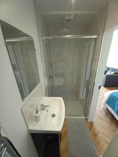 a bathroom with a white sink and a shower at OAKWOOD GLAMPING Mourne Mountains in Moyad