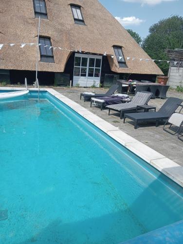 a large swimming pool in front of a house at Tiny House Aqualinde in Breda