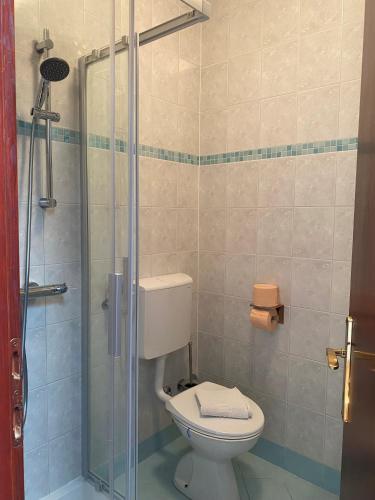 a bathroom with a toilet and a glass shower at Villa Una Apartments in Labin