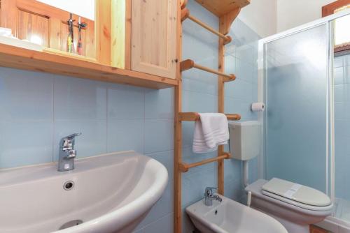 a bathroom with a sink and a toilet and a shower at 38-Casa Volpin Relax e Sport in Toscana in Castel del Piano