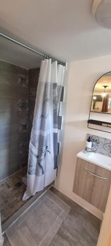 La salle de bains est pourvue d'un rideau de douche et d'un lavabo. dans l'établissement Studio en camargue, à Arles