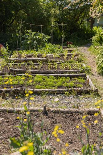 a garden with wooden steps in the dirt at The Common Knowledge Centre in Kilfenora