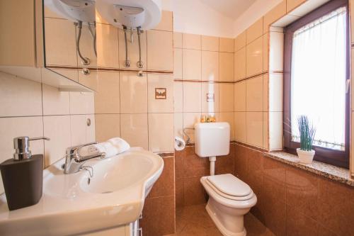 a bathroom with a sink and a toilet and a window at Gorgeous Pool Villa with a fenced garden in Žminj