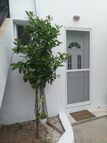 Φωτογραφία από το άλμπουμ του GEORGECHRISTI HOUSE στη Σκάλα Καλλιράχης