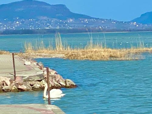 Paesaggio naturale nelle vicinanze della casa vacanze
