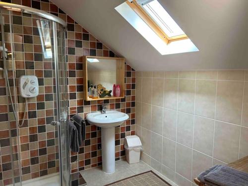 a bathroom with a sink and a shower at Apartment - Clonlyne House in Oldcastle