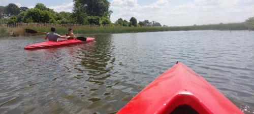 two people in a red kayak on a lake at Mieszkanie wakacyjno-pracownicze całoroczne in Pawłowo Żońskie