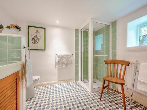 a bathroom with a toilet and a shower and a chair at Mill Barn in Askham