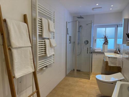 uma casa de banho com um chuveiro, um WC e um lavatório. em STAYBEST Apartment König Ludwig em Prien am Chiemsee