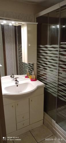 une salle de bain avec un lavabo et une douche dans l'établissement Le Randonneur, à Flumet
