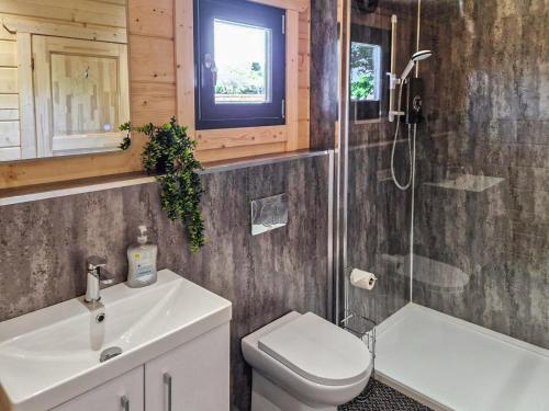 a bathroom with a toilet and a sink and a shower at West End Lodge in Barmston