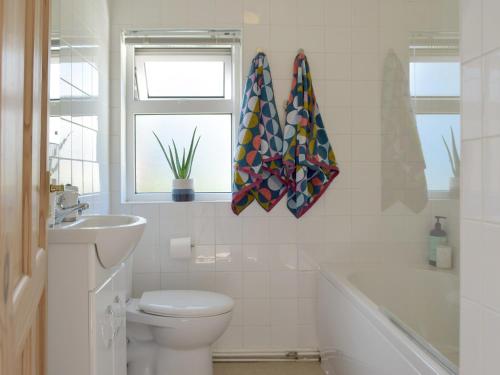 a bathroom with a toilet and a sink and a window at Ferry View in Cardigan