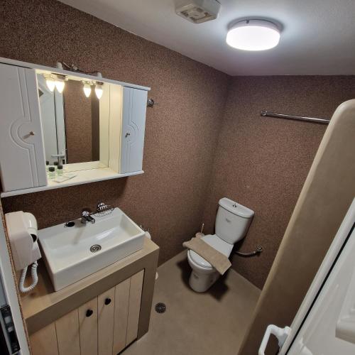 a bathroom with a sink and a toilet and a mirror at Edelweiss Rent Rooms-Rent a Car in Tsoútsouros