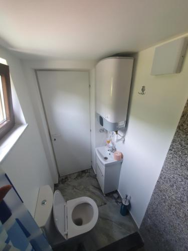 a small bathroom with a toilet and a sink at Cabana Miraj in Groşii Ţibleşului