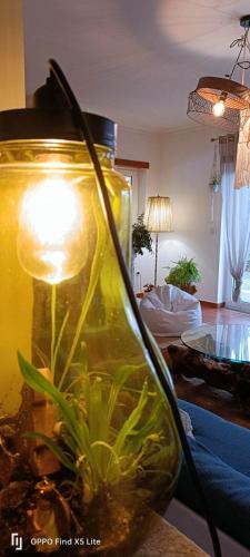 a vase with a plant in it in a living room at Casinha Siberiana, Casa de Hospedes in Vila da Ponte
