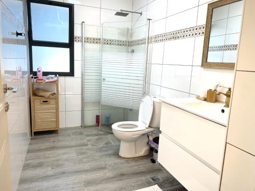 a bathroom with a toilet and a sink and a mirror at שפיגל קו ראשון לנחל-Hagoshrim,הגושרים in Hagoshrim
