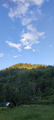 a green hill with trees and a blue sky at Holiday bungalows Pajkovir in Kolašin